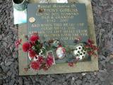 image of grave number 678038